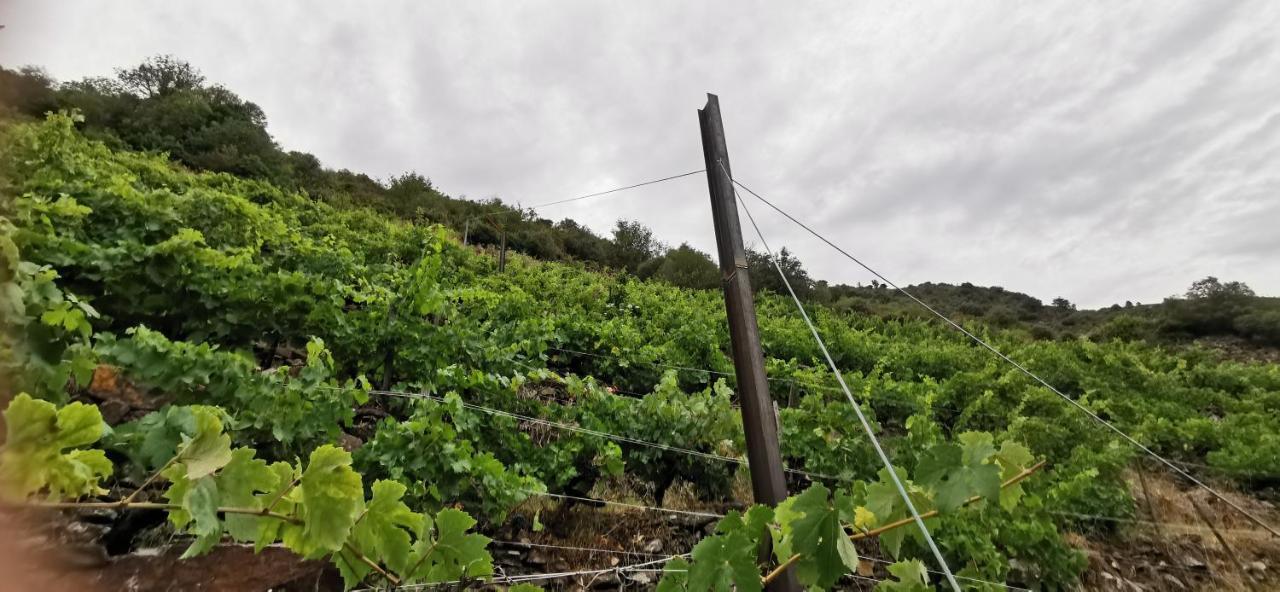 Vina Cazoga Villa Sober Dış mekan fotoğraf